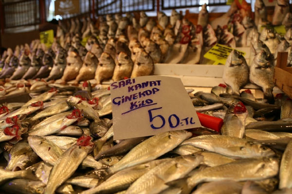 Balık fiyatlarında artış