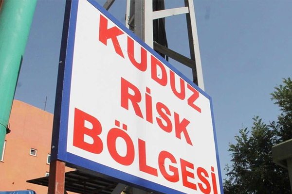 Mersin'de 'kuduz risk bölgeleri'