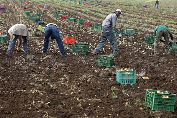 Göçmenlerin İtalya'ya katkısı büyük
