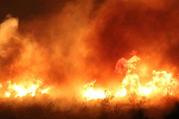 Orman yangınına 150 kişilik müdahele