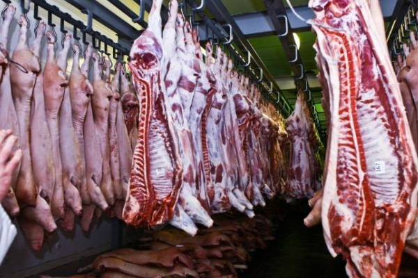 Aydın'da domuz eti ele geçirildi