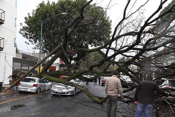 Meksika'da şiddetli fırtına 5 can aldı