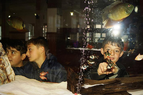 Çocukları camiye gelsin diye akvaryum yaptırdı