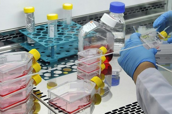 Yerli ilaç sanayisinden dev adım