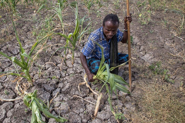 Şubat en sıcak ay oldu