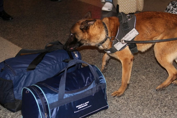 Havaalanında sıkı denetim