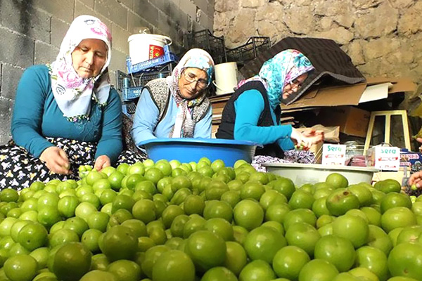 Eriğin kilosu 300 liradan 30 liraya düştü