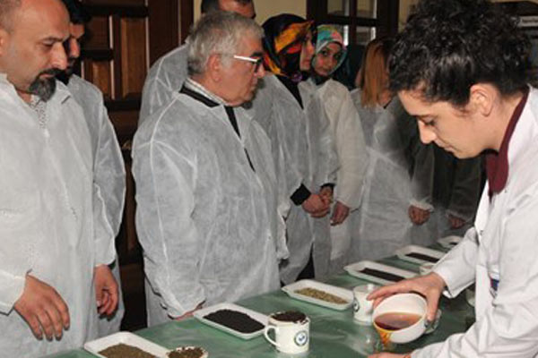 Çayın tadına bakarak para kazanıyorlar