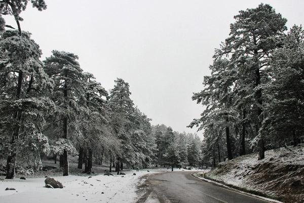 Egeli yağmur beklerken kar yağdı