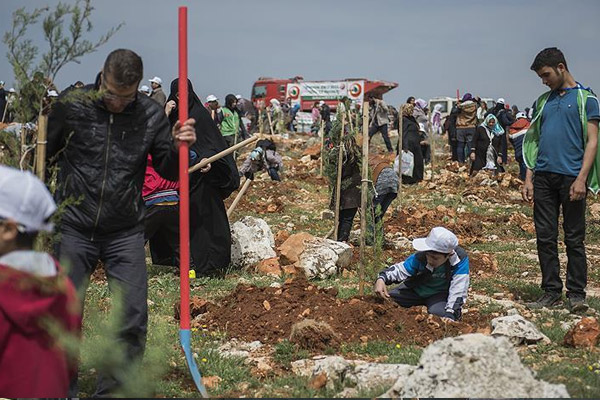 İHH'dan yetimler için hatıra ormanı