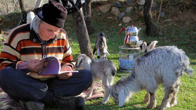 63 Yaşındaki 'Üniversiteli Çoban' şaşırtıyor