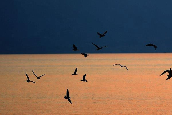 Arjantin'den Güney Atlantik açıklaması