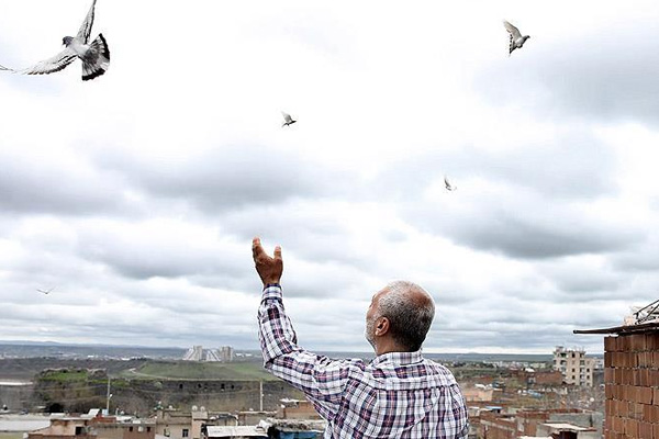 Operasyon bitince güvercinlerine kavuştu