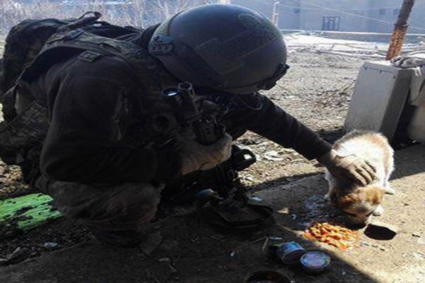 Asker kumanyasını sokak köpeğiyle paylaştı