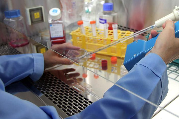 Kök hücre bağışında sevindiren artış