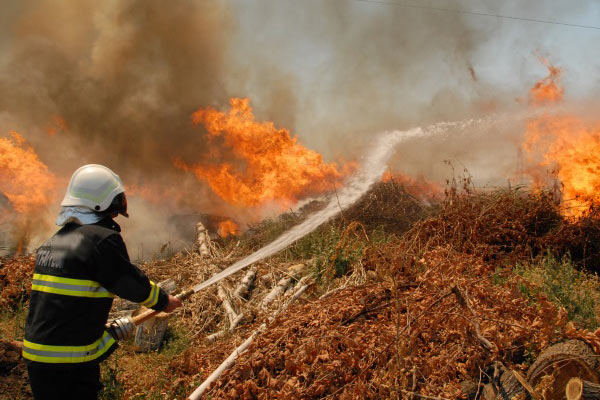 İstanbul’da orman yangını