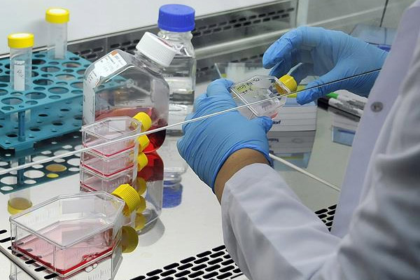 Kanser yılda 7,6 milyon can alıyor