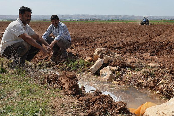 Hibe desteği genç çiftçileri sevindirdi