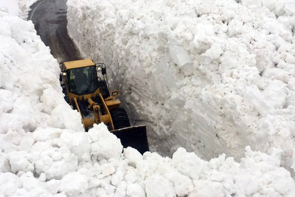 Van'da yola çığ düştü