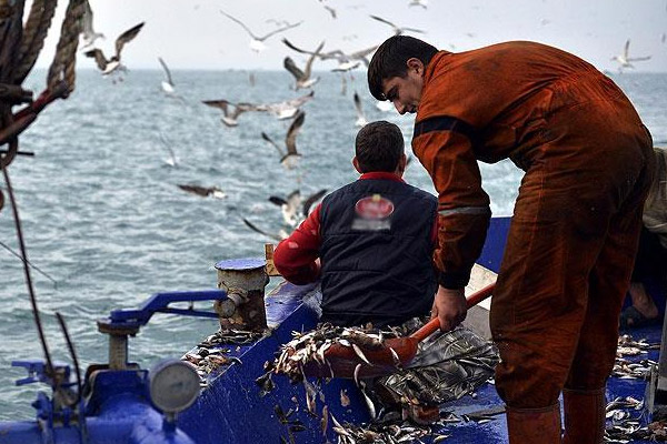 Denizlerde av yasağı yarın başlıyor