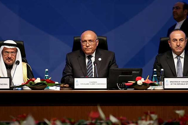 Mısır Dışişleri Bakanı Sisi'nin mesajını okudu ve gitti