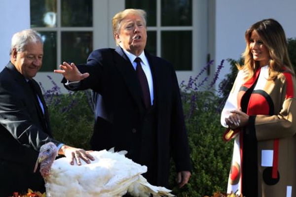 Trump Şükran Günü için iki hindiyi affetti