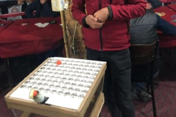 Van'da ''tombala'' operasyonu