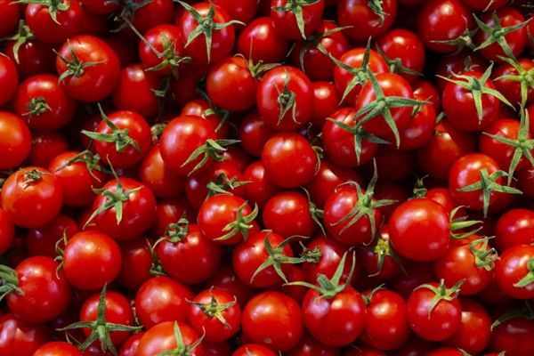 Kasımda en fazla domatesin fiyatı arttı