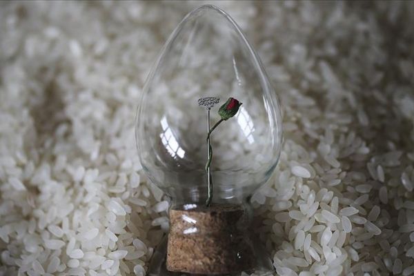 Pirinç tanesine İhlas suresini yazdı