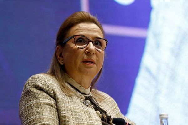 İhracatçılar bürokrasiye takılmadan 'tek tıkla' destek alacak