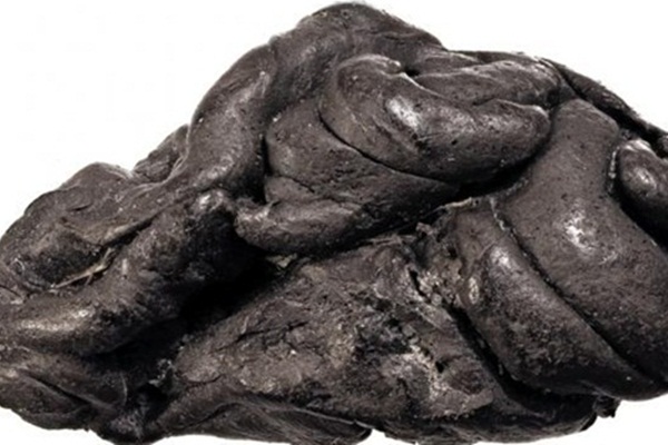 5700 yıl önce çiğnendiği düşünülen sakız bulundu