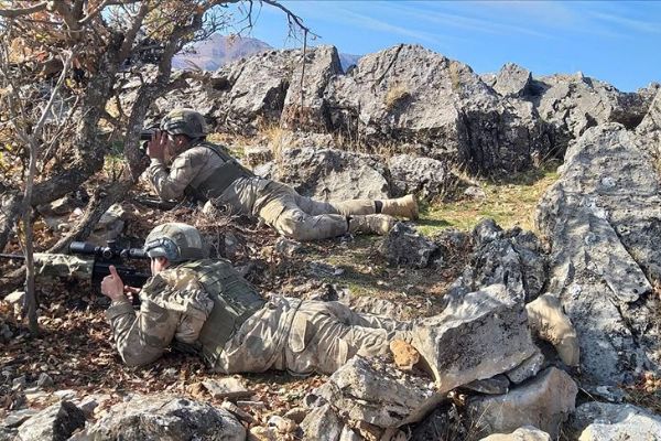 Bitlis ve Siirt'te 'Kıran-8 Sehi Ormanları Operasyonu' başladı
