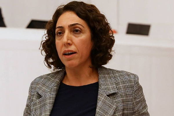 Meclis'in 10. partisi DBP oldu