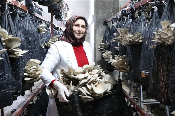 Girişimcilik hayalini 'Genç Çiftçi Projesi' ile gerçekleştirdi