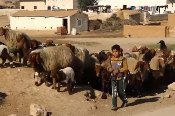 Barış Pınarı bölgesinde çocuklar terör baskısı olmadan okullarına gidiyor