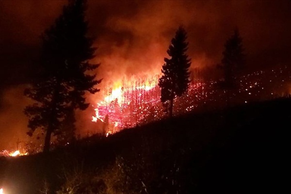 22 ayrı noktada yangın çıktı! Valilik açıklama yaptı