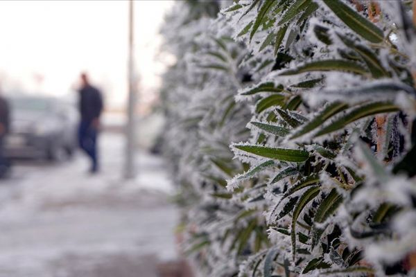 Kalp hastalarına soğuk ve rüzgarlı hava uyarısı