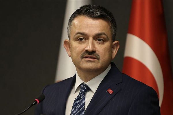 Bakan Pakdemirli: Üreticilere 425,4 milyon liralık destek ödemesi yapılacak
