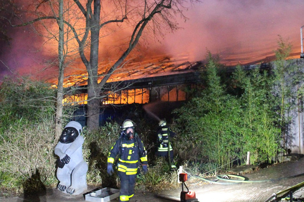 Hayvanat bahçesinde yangın: Onlarca hayvan telef oldu