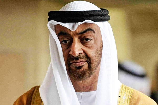 “BAE, Libya'daki Türk-Cezayir koordinasyonuna neden kızdı?”