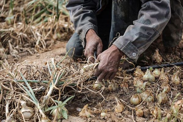 İsrail baraj kapaklarını açarak Gazze'de yarım milyon dolarlık hasara neden oldu