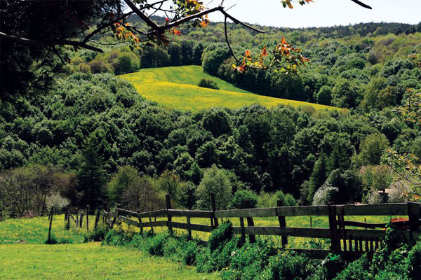 Polonezköy Bisiklet Gezileri