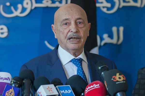 Libya'daki Hafter yanlısı Temsilciler Meclisi Başkanı Salih, 'ateşkesin sona erdiğini