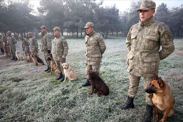 Mehmetçiğin 'can dostları' zorlu eğitimden geçiyor