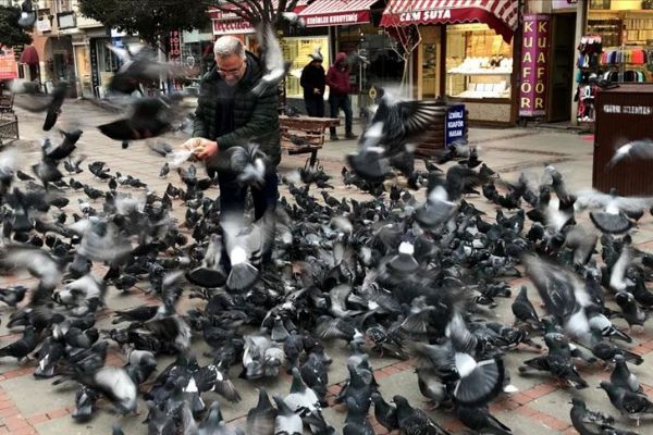 Teknisyen Necdet 10 yıldır Edirne'nin güvercinlerini besliyor