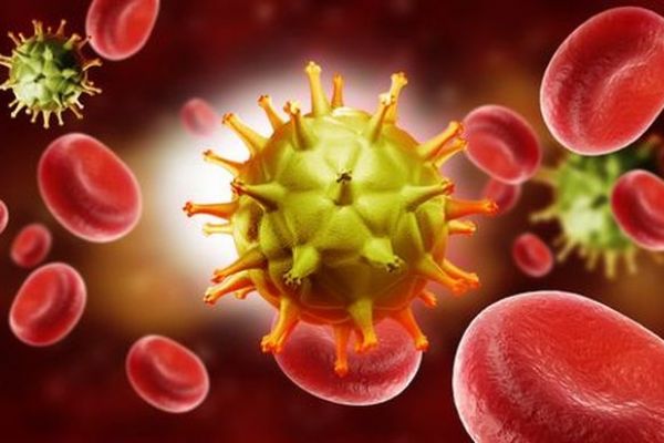 Rusya corona virüs salgınına karşı Çin'e sınırını kapatıyor