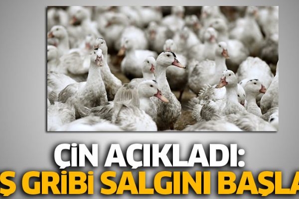 Çinli yetkililer, ülkede 'kuş gribi salgınının' başladığını açıkladı