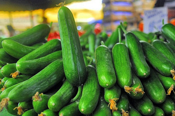 Ocak ayında en fazla salatalık fiyatı arttı