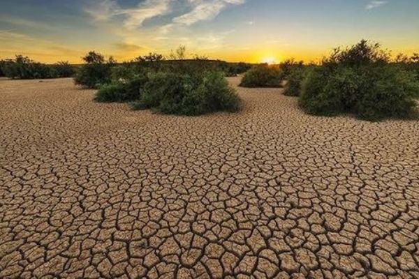 İklim kriziyle savaşıyor