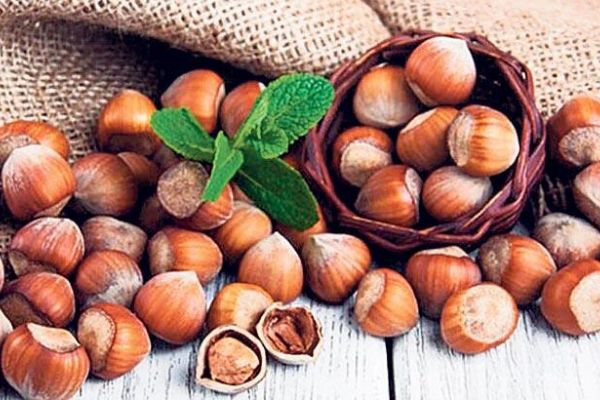 Fındık üretiminde açık ara lideriz